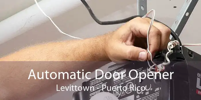 Automatic Door Opener Levittown - Puerto Rico