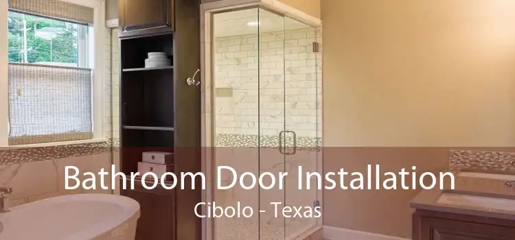 Bathroom Door Installation Cibolo - Texas