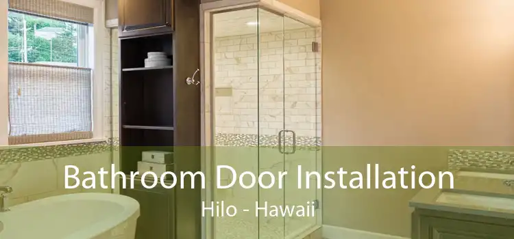 Bathroom Door Installation Hilo - Hawaii