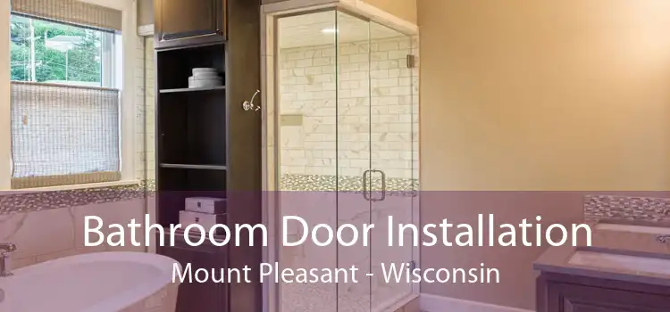 Bathroom Door Installation Mount Pleasant - Wisconsin