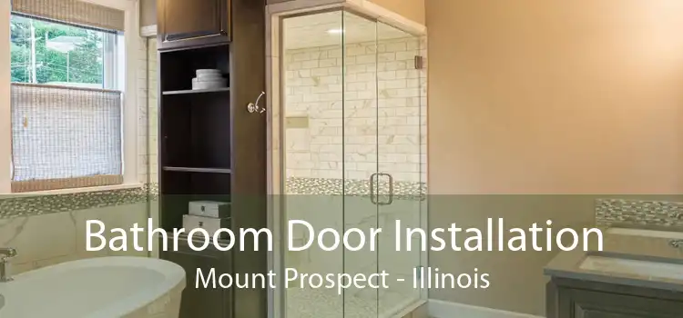 Bathroom Door Installation Mount Prospect - Illinois