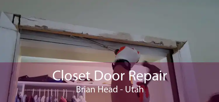 Closet Door Repair Brian Head - Utah