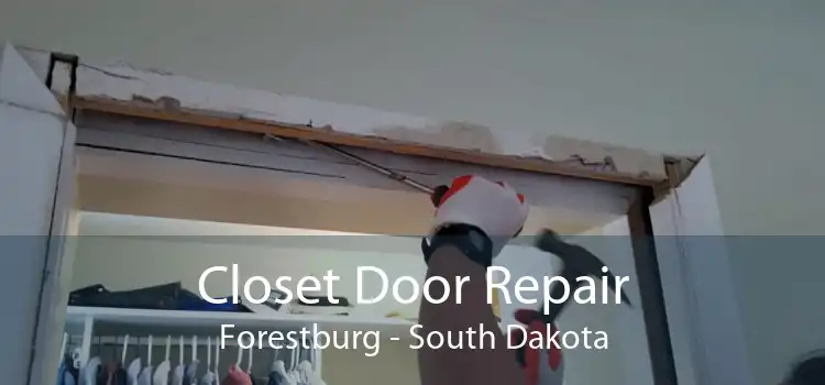 Closet Door Repair Forestburg - South Dakota