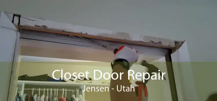 Closet Door Repair Jensen - Utah