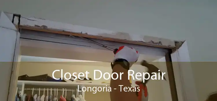 Closet Door Repair Longoria - Texas