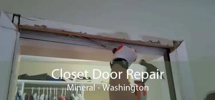 Closet Door Repair Mineral - Washington