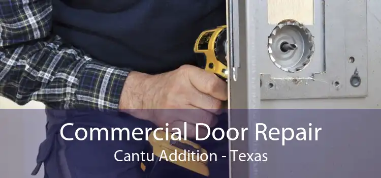 Commercial Door Repair Cantu Addition - Texas