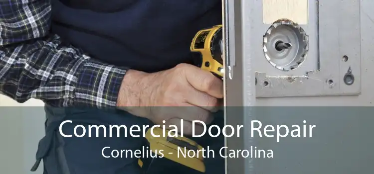 Commercial Door Repair Cornelius - North Carolina