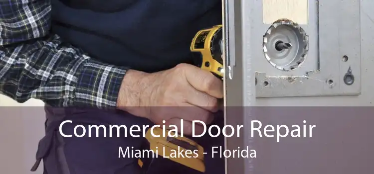 Commercial Door Repair Miami Lakes - Florida