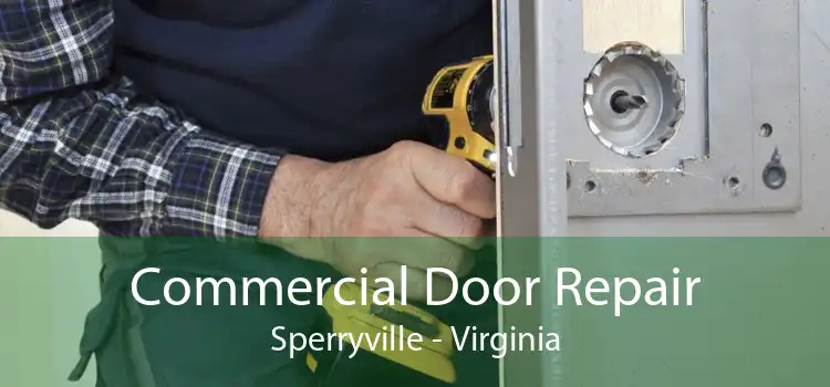 Commercial Door Repair Sperryville - Virginia