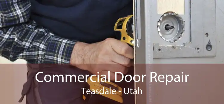 Commercial Door Repair Teasdale - Utah