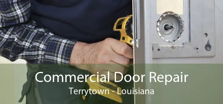 Commercial Door Repair Terrytown - Louisiana