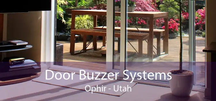 Door Buzzer Systems Ophir - Utah