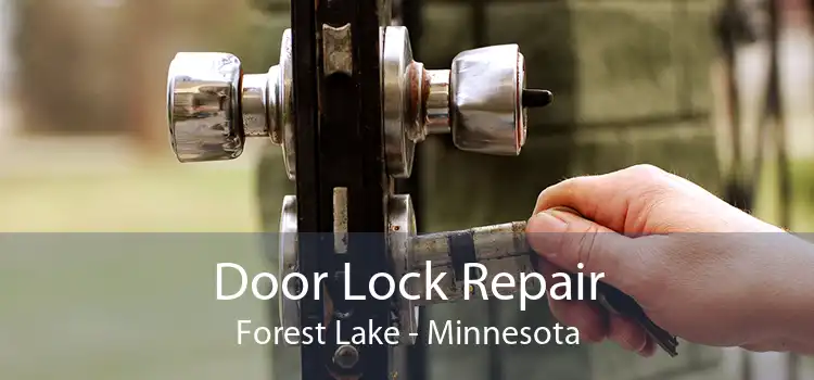 Door Lock Repair Forest Lake - Minnesota