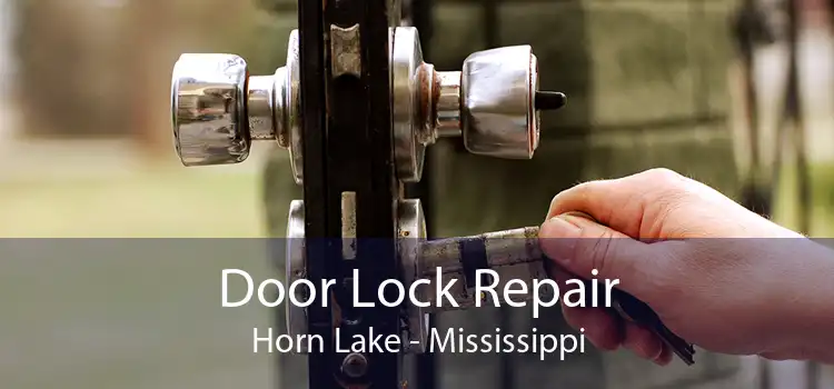 Door Lock Repair Horn Lake - Mississippi