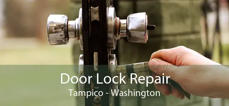 Door Lock Repair Tampico - Washington