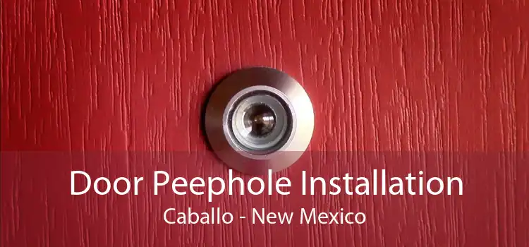 Door Peephole Installation Caballo - New Mexico