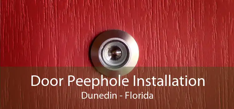 Door Peephole Installation Dunedin - Florida
