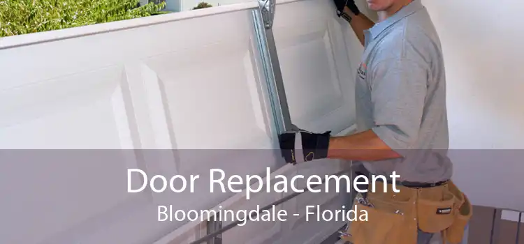 Door Replacement Bloomingdale - Florida