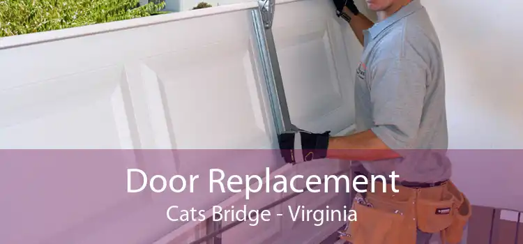 Door Replacement Cats Bridge - Virginia