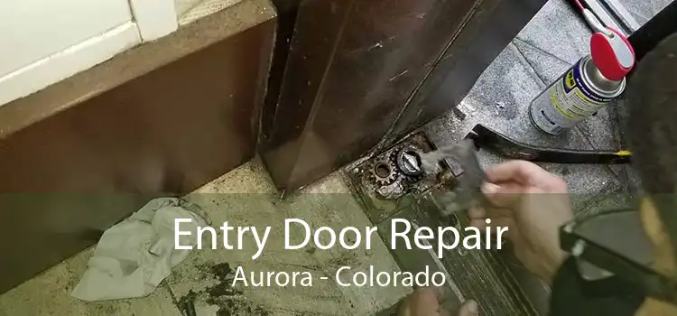 Entry Door Repair Aurora - Colorado