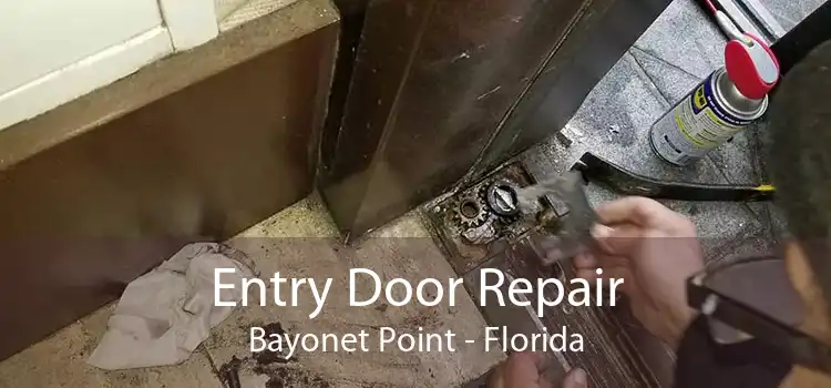 Entry Door Repair Bayonet Point - Florida