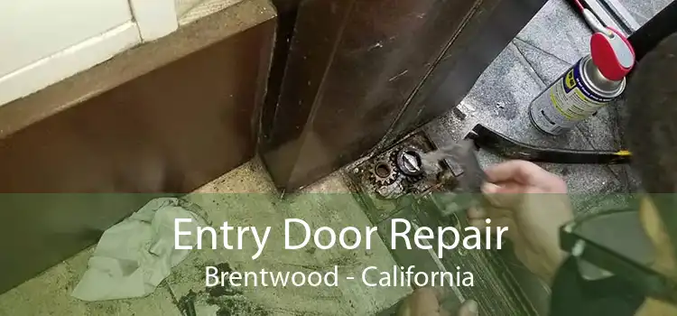 Entry Door Repair Brentwood - California