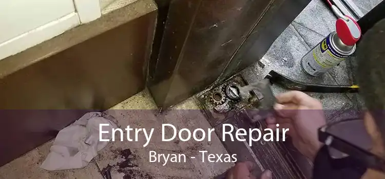 Entry Door Repair Bryan - Texas