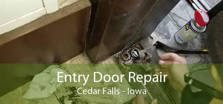 Entry Door Repair Cedar Falls - Iowa