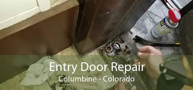Entry Door Repair Columbine - Colorado
