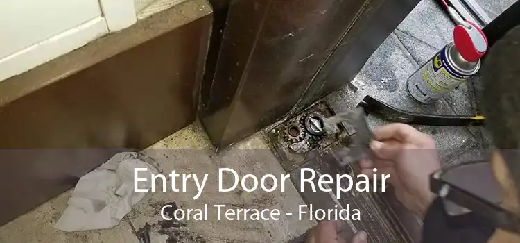 Entry Door Repair Coral Terrace - Florida