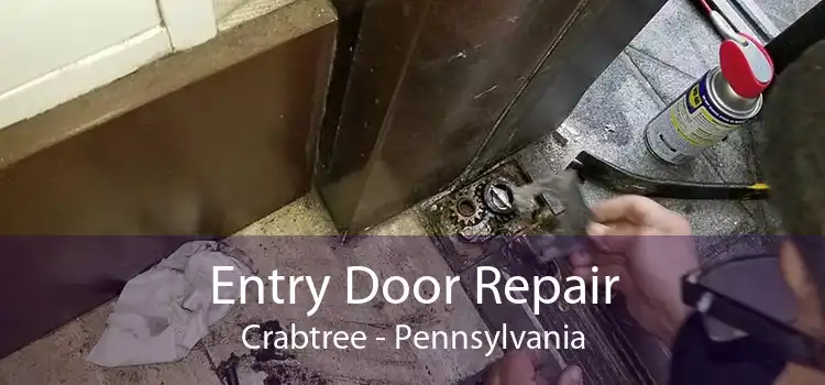 Entry Door Repair Crabtree - Pennsylvania
