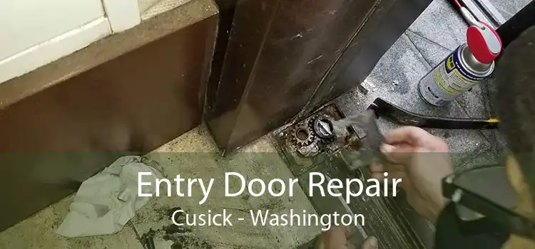 Entry Door Repair Cusick - Washington