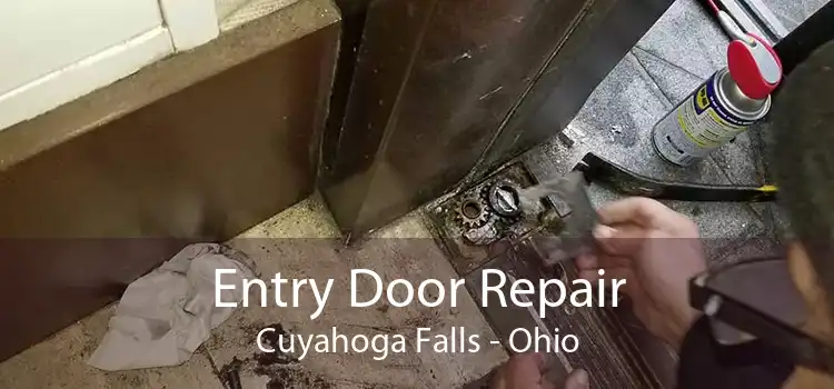 Entry Door Repair Cuyahoga Falls - Ohio