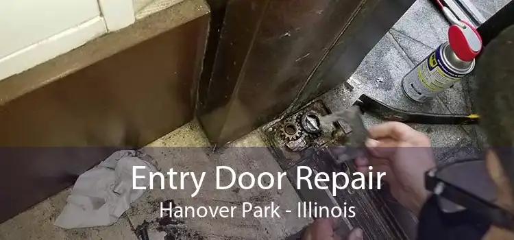 Entry Door Repair Hanover Park - Illinois