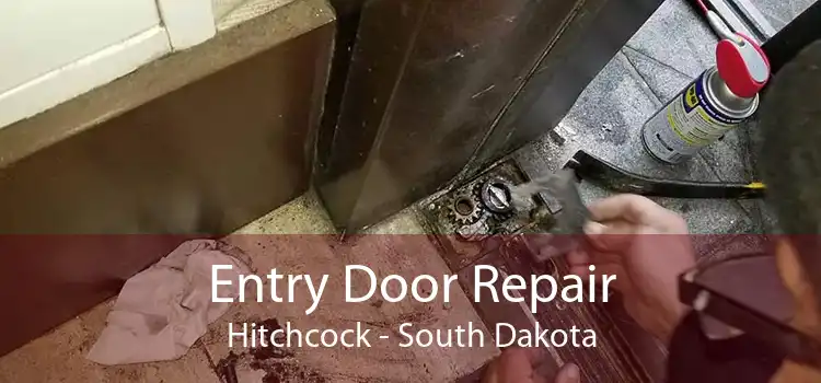 Entry Door Repair Hitchcock - South Dakota