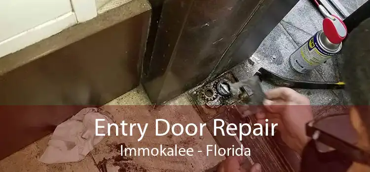 Entry Door Repair Immokalee - Florida
