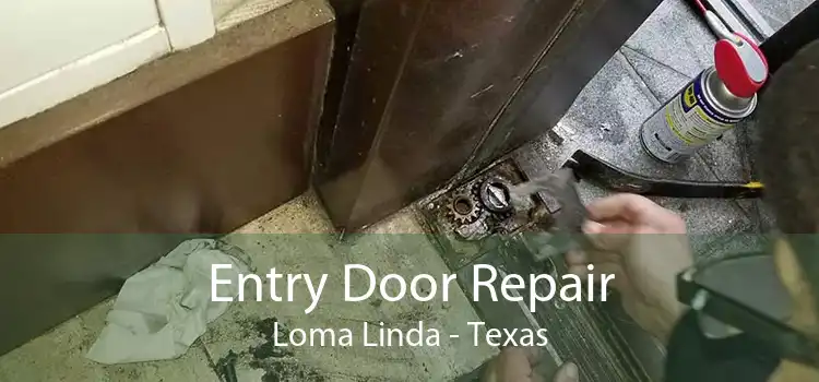 Entry Door Repair Loma Linda - Texas
