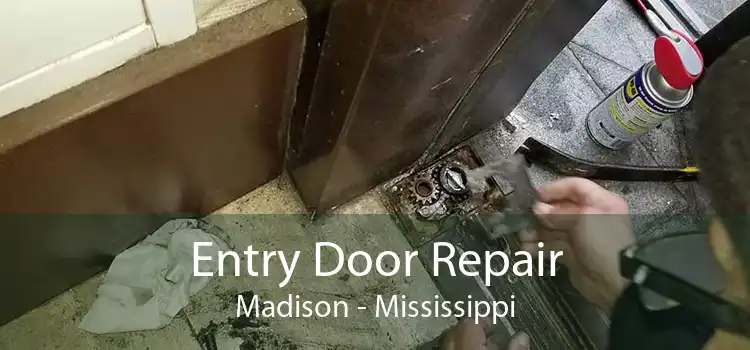 Entry Door Repair Madison - Mississippi