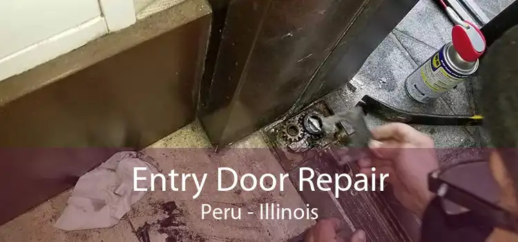 Entry Door Repair Peru - Illinois