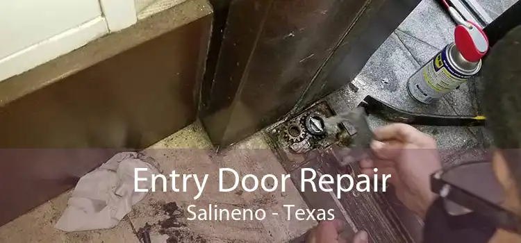 Entry Door Repair Salineno - Texas