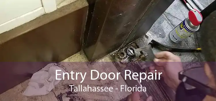 Entry Door Repair Tallahassee - Florida