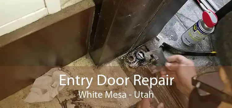 Entry Door Repair White Mesa - Utah