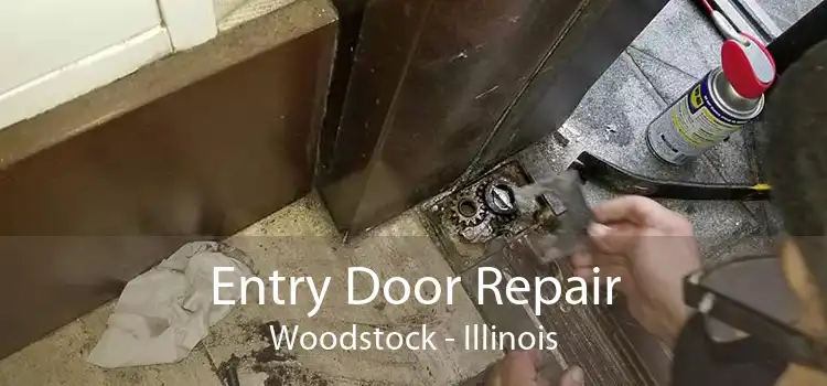 Entry Door Repair Woodstock - Illinois