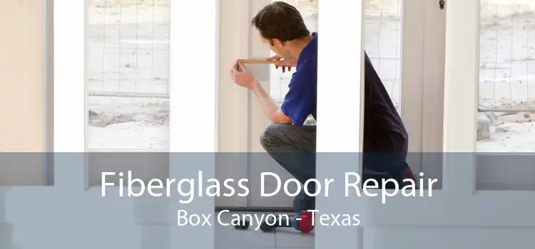 Fiberglass Door Repair Box Canyon - Texas