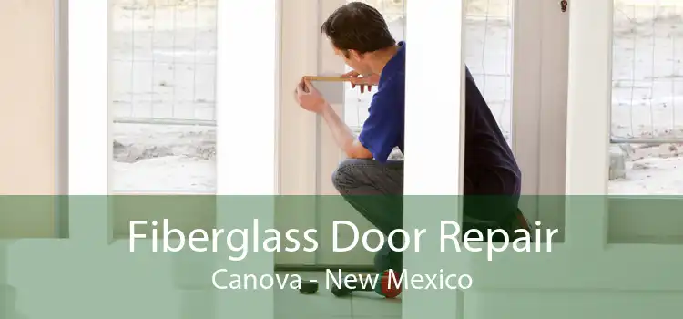 Fiberglass Door Repair Canova - New Mexico