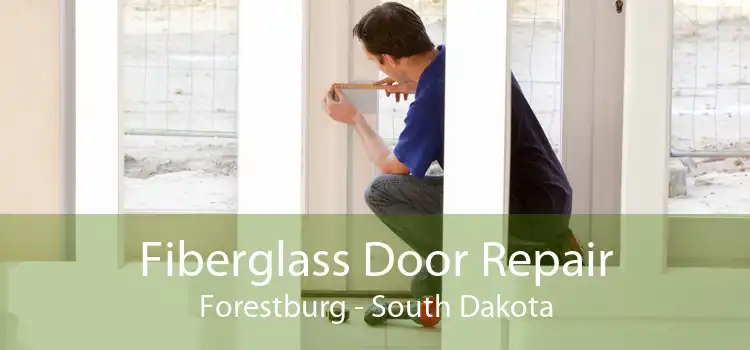 Fiberglass Door Repair Forestburg - South Dakota