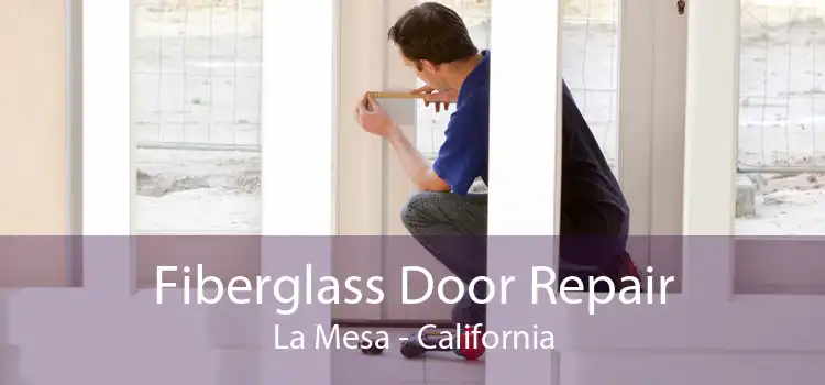 Fiberglass Door Repair La Mesa - California