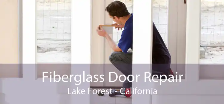 Fiberglass Door Repair Lake Forest - California