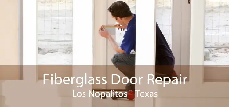 Fiberglass Door Repair Los Nopalitos - Texas